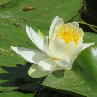 画像に alt 属性が指定されていません。ファイル名: 14-40.png